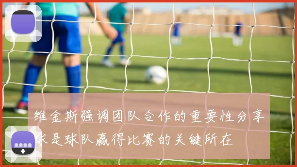 维金斯强调团队合作的重要性分享球是球队赢得比赛的关键所在