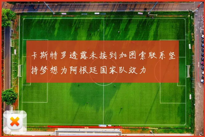 卡斯特罗透露未接到加图索联系坚持梦想为阿根廷国家队效力