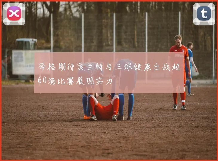蒂格期待莫兰特与三球健康出战超60场比赛展现实力